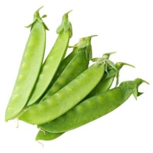 【朝市場直行】鹿児島県ほか　絹さや（きぬさや）約1kg　x6個セット【冷蔵】