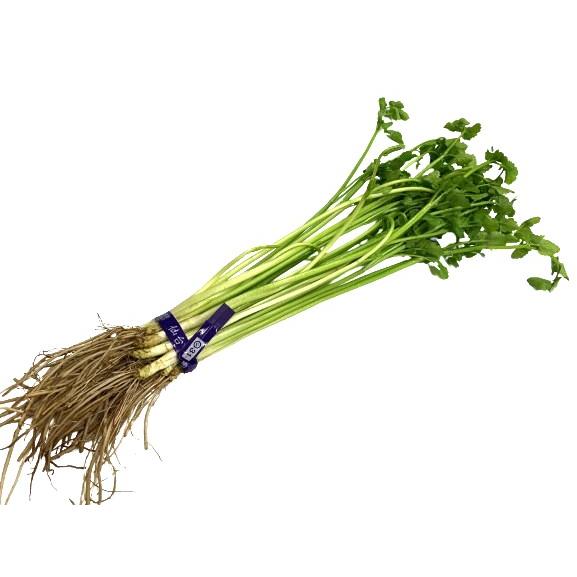 【朝市場直行】宮城県ほか　根つきせり　約90〜100g　x4個セット【冷蔵】