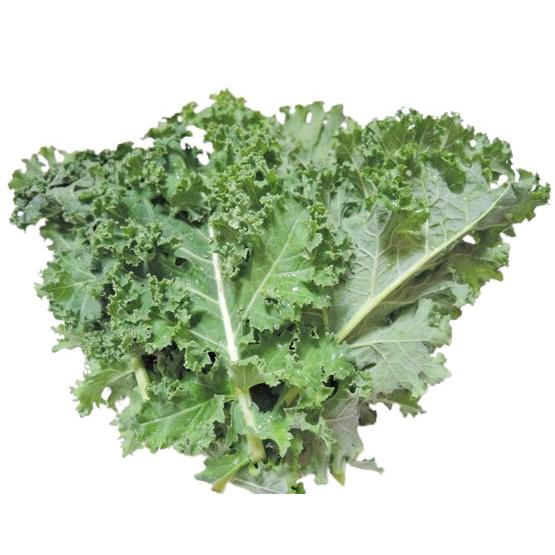 【朝市場直行】福島県ほか　カーリーケール（袋）約80g【冷蔵】