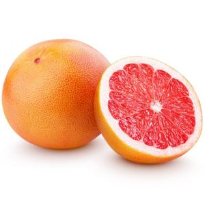 【朝市場直行】南アフリカほか　ルビーグレープフルーツ　1個　約250g【冷蔵】