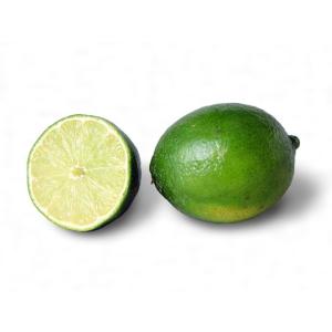【朝市場直行】メキシコ産ほか　ライム　1個　約90g【冷蔵】