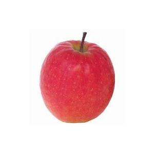 【朝市場直行】長野県ほか　リンゴ（赤）1個　約250g【冷蔵】