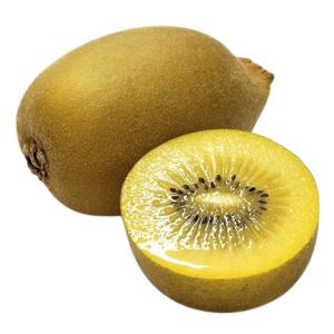 【朝市場直行】ニュージーランド産　ゴールデンキウイ（ゴールドキウイ）1個　約80g〜100g【冷蔵】