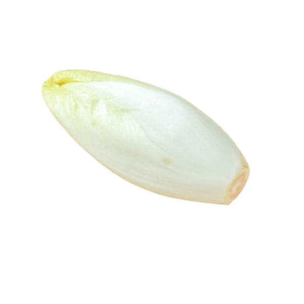 【朝市場直行】西洋野菜　アンディーブ（チコリ）1個　ベルギーほか　100-150g位　(冷蔵）