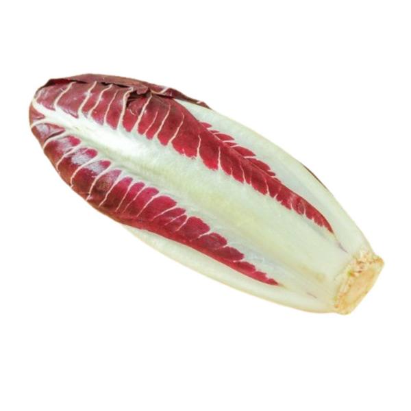 【朝市場直行】西洋野菜　トレビスラディッキオ（トレビーゾ）　1玉　イタリア  150-160g位　(...