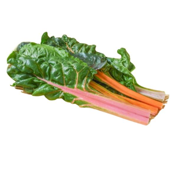 【朝市場直行】西洋野菜　スイスチャード　茨木県ほか　100g位　(冷蔵）