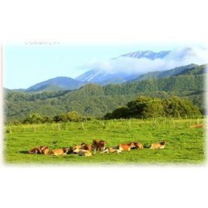 蒜山(ひるぜん)酪農 蒜山ジャージーヨーグルト...の詳細画像1
