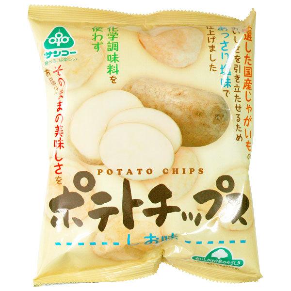 送料無料　恒食　サンコー　ポテト チップス しお味　60g