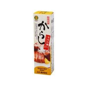 送料無料(メール便)　ムソー　旨味本来・からしチューブ入り　40g　x2個セット　送料込み