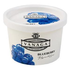 送料無料　木次　VANAGAブルーベリーアイスクリーム　120ml　x2個セット【冷凍】