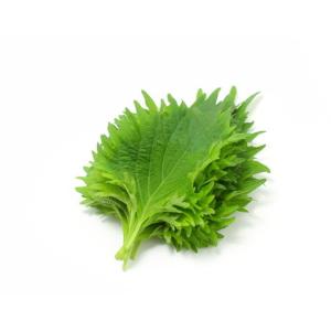 特別栽培　大葉　10枚