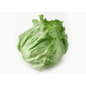 特別栽培　レタス（ラップ巻）1個P