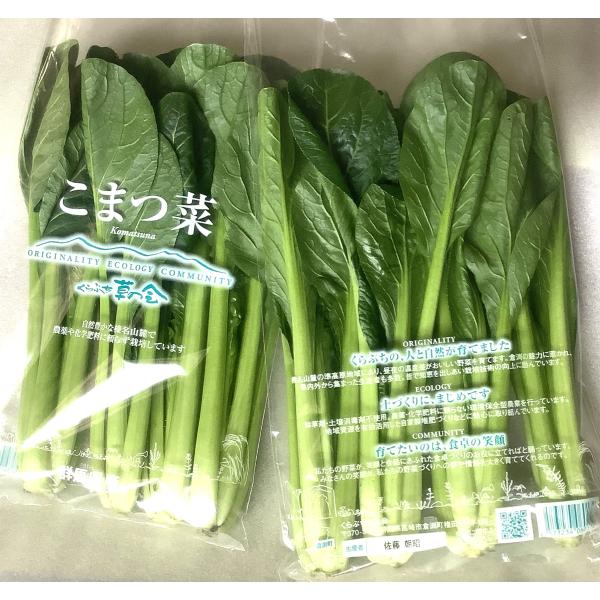 【農薬未使用】群馬県　くらぶちの小松菜　200gPｘ4 セット【冷蔵】