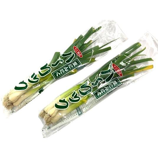 【農薬未使用】徳島の葉にんにく　約100gP　x2個セット【冷蔵】