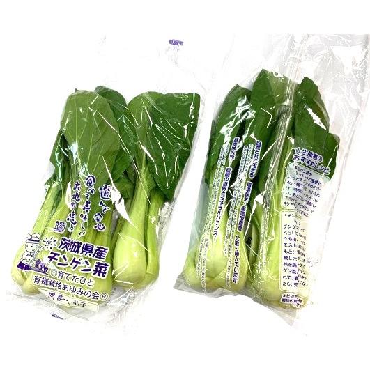 【減農薬】あゆみの会　茨城のチンゲン菜　2株Pｘ4 セット【冷蔵】
