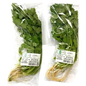 【有機認証】千葉県　さんぶの有機パクチー　約50gPｘ4 セット【冷蔵】