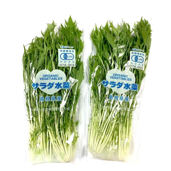 【有機認証】島根の有機みず菜（水菜）約150gPｘ4 セット【冷蔵】