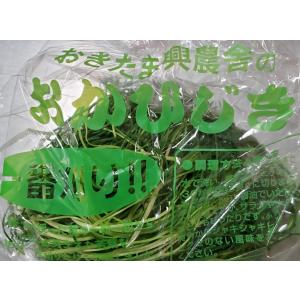 【農薬未使用】山形県　おきたま興農舎　おかひじき　約80gP　x2個セット【冷蔵】
