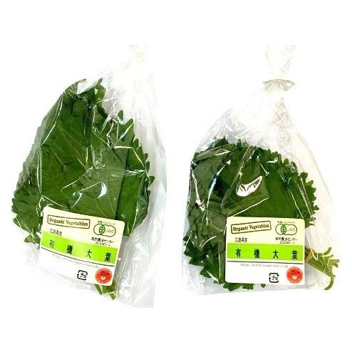【有機認証】大葉　有機青じそ　10枚Pｘ4 セット【冷蔵】