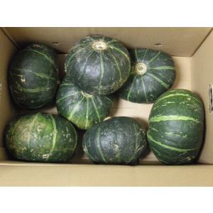 【特別栽培】沖縄のかぼちゃ(4〜8個入）10kg箱【冷蔵】｜blife