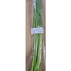 【農薬未使用】岩手県　うるい　約150gPｘ4 セット【冷蔵】