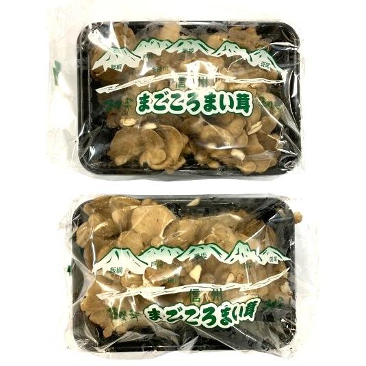 【農薬未使用】長野県　舞茸　信州のまいたけ　約150gP　x2個セット【冷蔵】