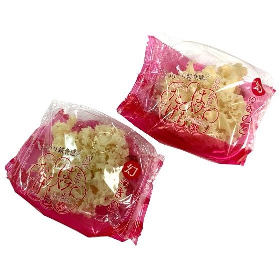 【農薬未使用】長野県　はなびらたけ　約80gPｘ4 セット【冷蔵】