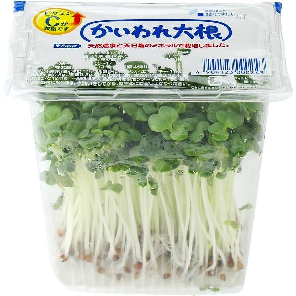 【農薬未使用】岐阜県　貝割れ（かいわれ）大根　ポット約60gｘ4 セット【冷蔵】