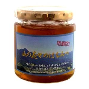 つかもと養蜂場　匠の天然蜂蜜　山の花々のはちみつ　600ｇ6本セット Amazon | 山の花々はちみつ (1) | ノーブランド品 | はちみつ 通販
