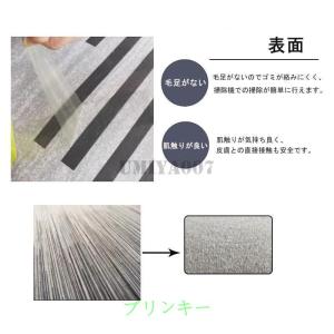 カーペット 洗える 四季 ラグ オールシーズン...の詳細画像1