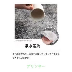 カーペット 洗える 四季 ラグ オールシーズン...の詳細画像2