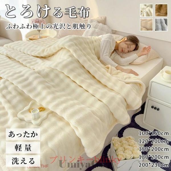 毛布 洗える ふわとろ 毛布 シングル セミダブル ダブル ハーフ 厚手 二枚合わせ  暖かい 冬用...