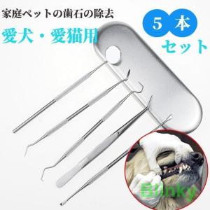 犬用デンタルケア スケーラー　ペンチ 楽天市場】犬 スケーラー 歯石取り ペンチ 器具 ペット用