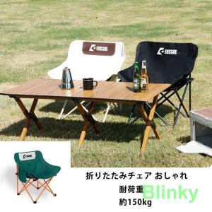 IGNIO イグニオ スチールフォールディングチェア 2脚セット