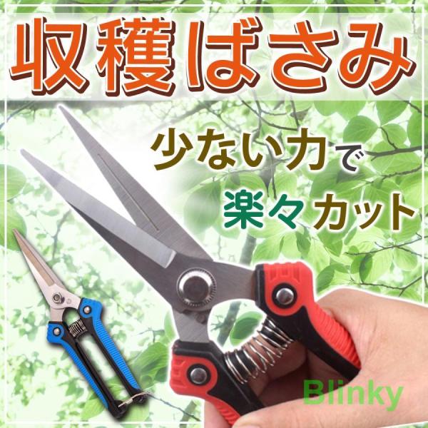 収穫 剪定 ばさみ はさみ 鋏 植木 庭 花 ガーデン 摘果 造園 芽切り 盆栽 枝 収穫 果物 野...