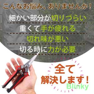 収穫 剪定 ばさみ はさみ 鋏 植木 庭 花 ...の詳細画像3