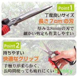 収穫 剪定 ばさみ はさみ 鋏 植木 庭 花 ...の詳細画像4