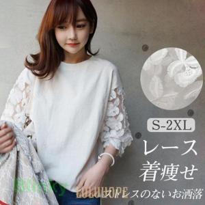 全2color×6size！レーストップス ハイネック トップス ブラウス