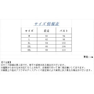 Tシャツ メンズ ストリートファッション 大き...の詳細画像3