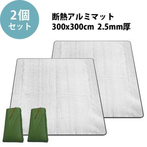 Coleman（コールマン） フォールディングテントマット/270 2000017147