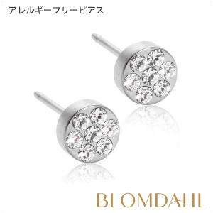ピアス アレルギー対応 純チタン シルバー ブリリアンスプレナリー 5mm クリスタル レディース 15-12166-01
