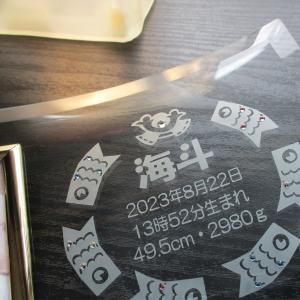初節句 名入れ フォトフレーム 内祝い お返し...の詳細画像3