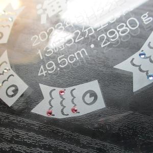 初節句 名入れ フォトフレーム 内祝い お返し...の詳細画像5
