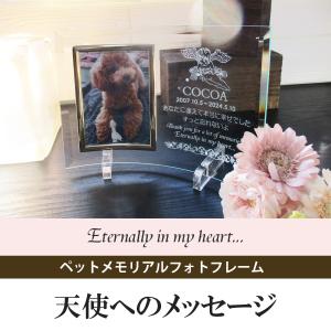 ペットメモリアル ペット遺影 ペット写真立て ...の詳細画像1