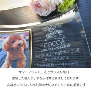ペットメモリアル ペット遺影 ペット写真立て ...の詳細画像5