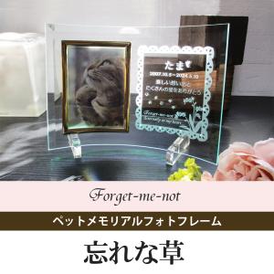ペットメモリアル ペット遺影 ペット写真立て ...の詳細画像1