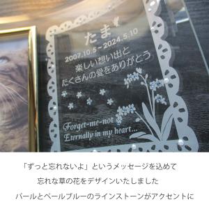 ペットメモリアル ペット遺影 ペット写真立て ...の詳細画像4