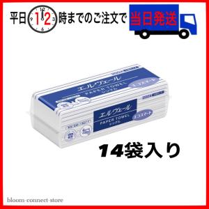 【14袋】エコスマートシングル 小判｜bloom-connect-store