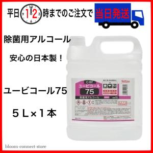 除菌用アルコール製剤 消毒液 ニューエース 5L アルコール74% 手指消毒