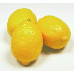 大きめのレモンの木 6号 バスケット鉢カバー ...の詳細画像1